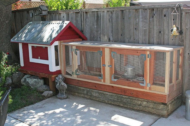 What Makes A how to build a chicken coop? |
